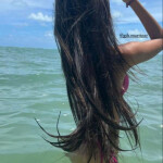 NOVEDAD HERMOSA LATINA