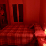 Alquiler de habitación