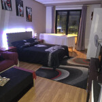 LUXURY PISO EN LEON CAPITAL PARA SCORT
