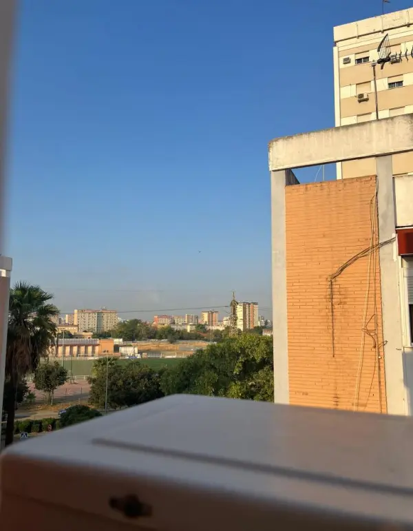 Fondo avatar