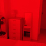 Alquiler de habitación