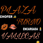 SE SOLICITA CHOFER TAXISTA. ZONA VALLECAS