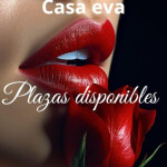 Hola misamore tengo plaza disponible