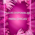 PLAZA DISPONIBLE PARA CHICA CON GANAS DE GENERAR LAS 24 HORAS