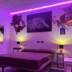 SE PRECISAN ESCORT DE LUJO EXCELENTES