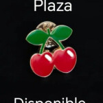 PLAZA EN TORREVIEJA - PLAZAS LIBRES PISO RECIEN REFORMADO CHICAS TRANQUILAS TODAS LAS COMODIDADES CO