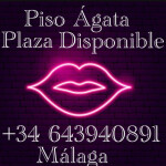 Plazas disponibles en el Piso Ágata - Málaga