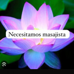 Necesitamos masajista española se ofrece fijo mensual