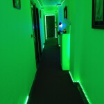 HABITACIONES EN ELCHE