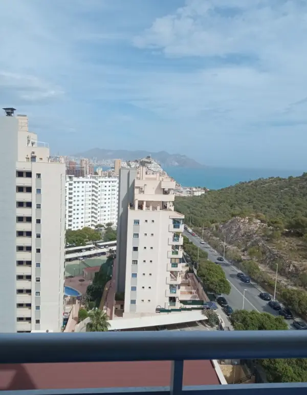 Fondo avatar