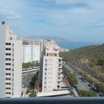 PLAZA INMEDIATA INTERNA DE 1 A 3 SEMANAS