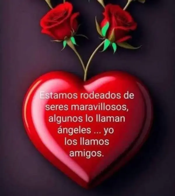 Fondo avatar