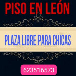 PLAZA LIBRE EN LEÓN CIUDAD. TU MEJOR PLAZA