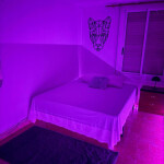 PLAZA DISPONIBLE EN ELCHE!!!
