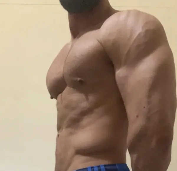 Fondo avatar