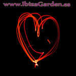 Ven a Conocer el mejor Trato en .IbizaGarden.es Love Garden Te esperamos