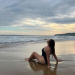 ANAIS NOVEDAD VILANOVA I LA GELTRÚ
