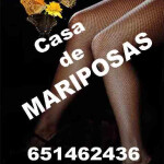 MARIPOSAS NUEVAS para tu disfrute.