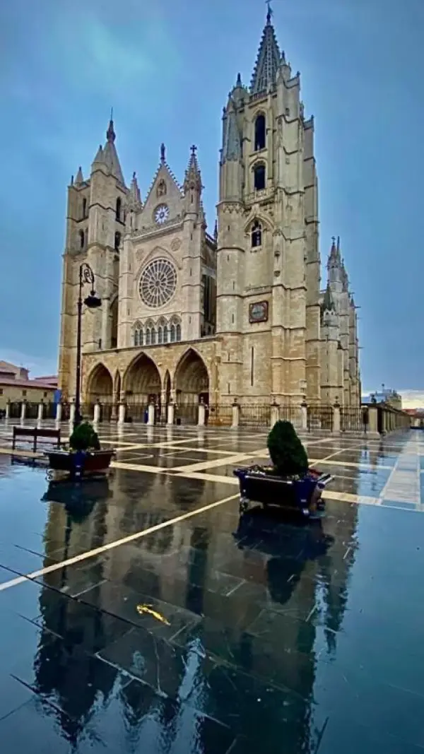 Fondo avatar