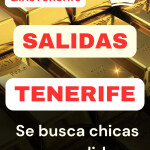 English-Speaking Girls – Outcalls Only Agency