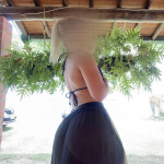 COLOMBIANA PAISITA - Hola guapo me llamo Isabella Soy una joven espectacular elegante cariñosa amabl