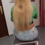 Novedades entomelloso