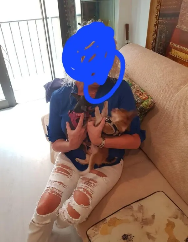 Fondo avatar