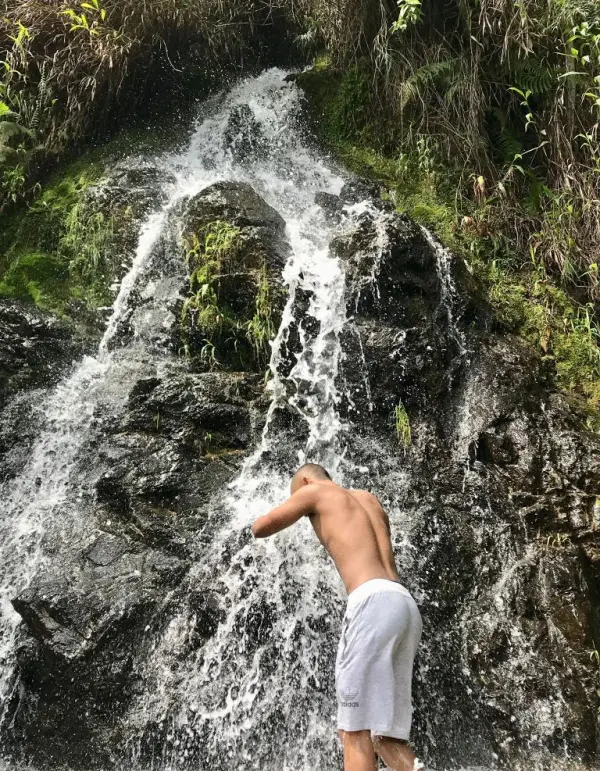 Fondo avatar