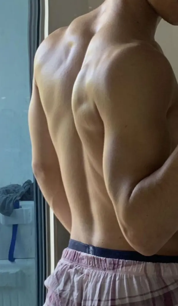 Fondo avatar