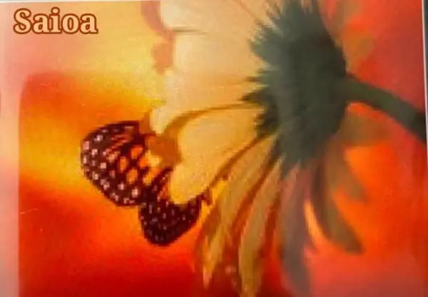 Fondo avatar