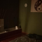 ALQUILO CAMBINA CON TATAMI