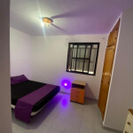 Habitación en el centro de las palmas