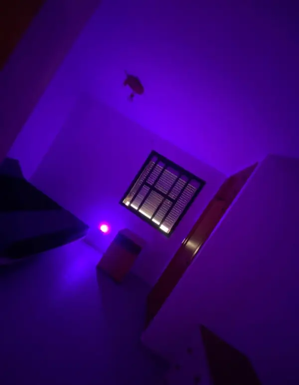 Fondo avatar