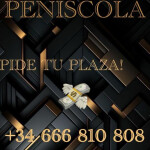 TU MEJOR PLAZA EXCELENTES