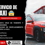 CHOFER PROFESIONAL SANTA CRUZ