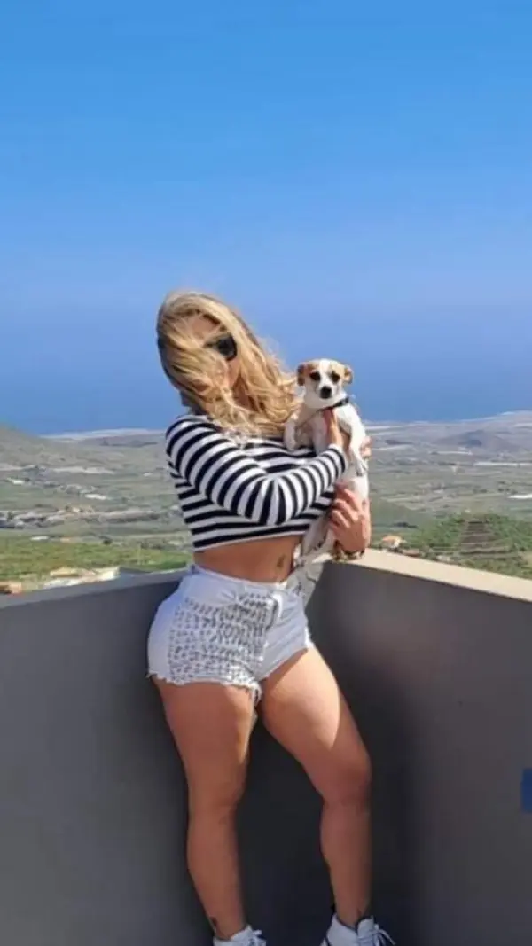 Fondo avatar