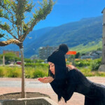 Emma LAS AMERICAS ADEJE SAN EUGENIO LOS CRISTIANOS PERFECT GIRL 24 7