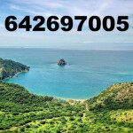 ASIATICAS 24 H. EN INCA MALLORCA 642697005