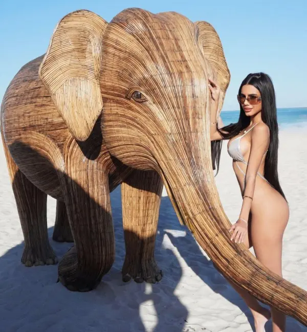 Fondo avatar