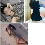 Pelinegra latina hermosa