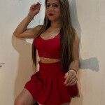 Trans Ana paraguaya - Ultimos dias -