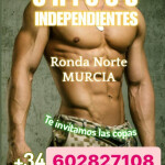 Independientes nuevo numero!
